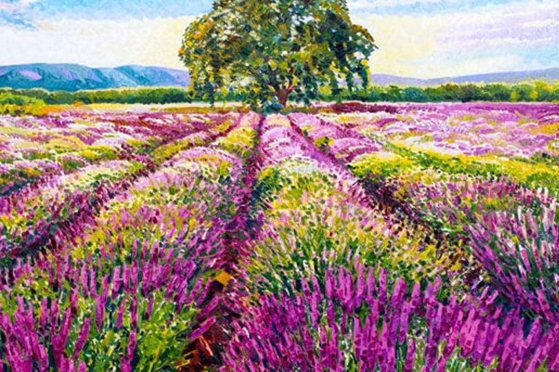 Athos Faccincani in mostra a Peschiera del Garda con "Quando il colore si fa luce"